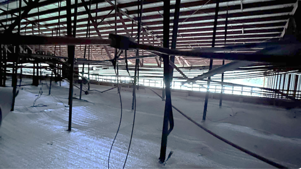Supply and Installation of Insulation for Ceiling of PCIEERD Working ...