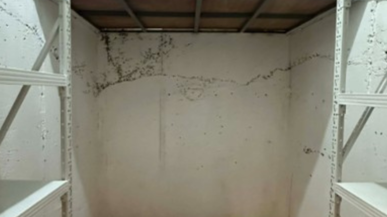 Various Building Maintenance and Repair Works of Science Education Institute - Department of Science & Technology (DOST) Wide