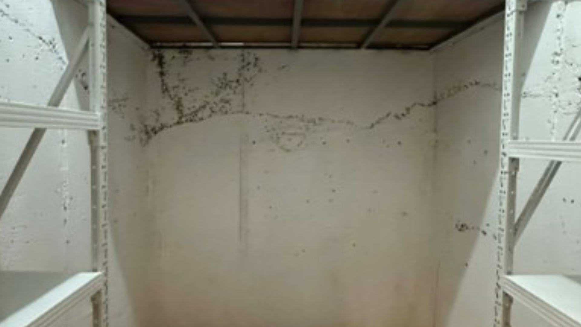 Various Building Maintenance and Repair Works of Science Education Institute - Department of Science & Technology (DOST) Wide